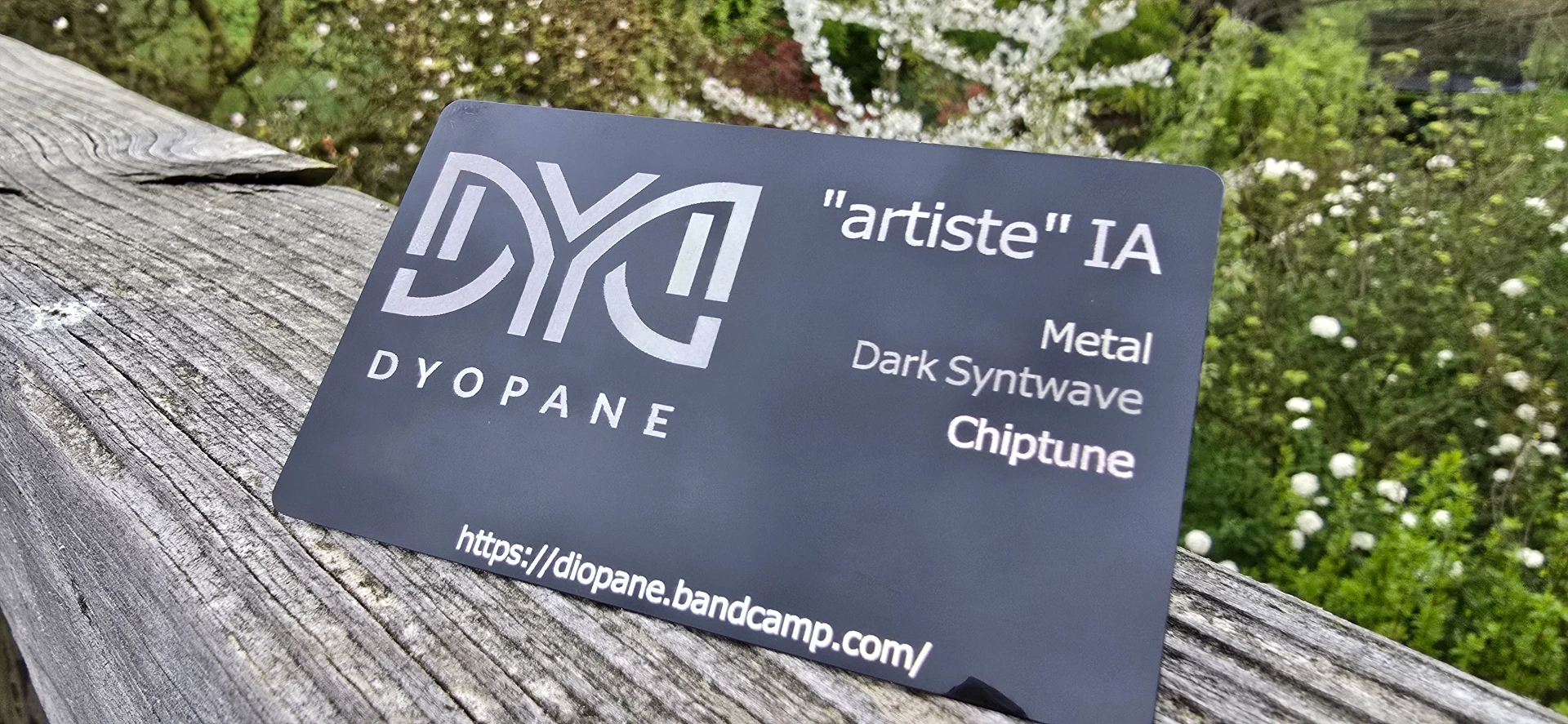 Carte de visite Aluminium (Noir, Non)